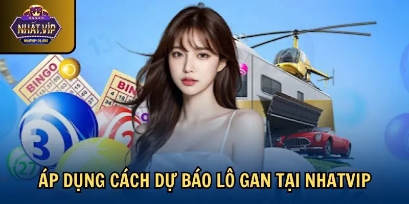 ap dung du bao dau hieu lo gan sap ra Áp dụng cách dự báo lô gan tại Nhatvip
