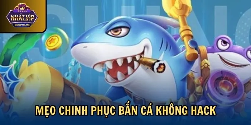 meo ban ca hack full tien Mẹo chinh phục bắn cá không hack