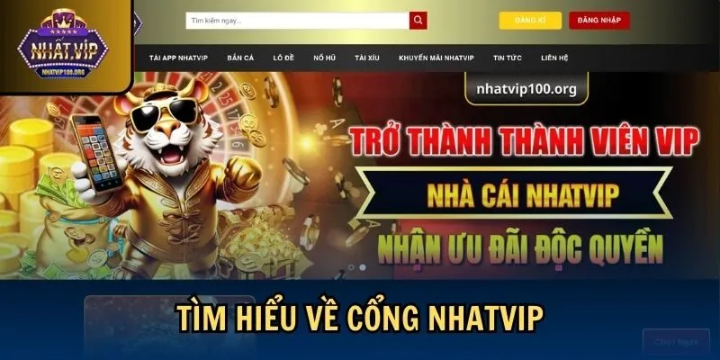 tim hieu nhatvip Tìm hiểu về cổng Nhatvip