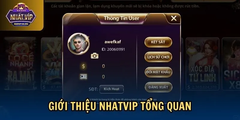 tong quan gioi thieu nhatvip Giới thiệu Nhatvip tổng quan